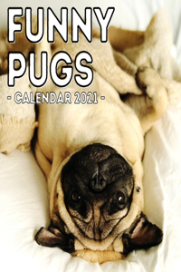 Funny Pugs Calendar 2021