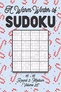A Warm Winter of Sudoku 16 x 16 Round 3