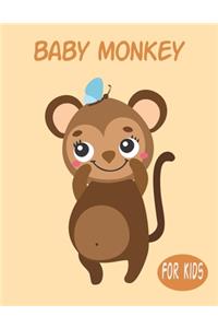 Baby Monkey For Kids