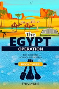 The Egypt Operation