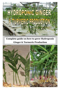 Hydroponic Ginger & Turmeric Production