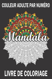 Couleur Adulte Par Numéro Mandala Livre De Coloriage