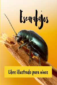 Escarabajos