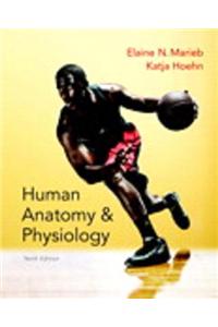 Human Anatomy & Physiology, Books a la Carte Edition and Modified Masteringa&p with Pearson Etext & Valuepack Access Card