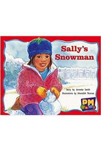 Sally's Snowman