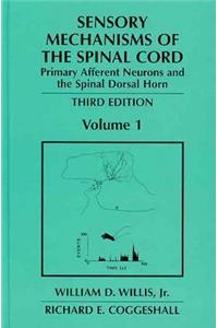 Sensory Mechanisms of the Spinal Cord