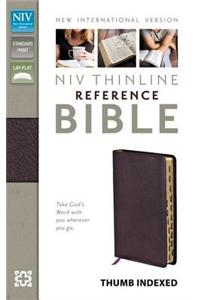 NIV, Thinline Reference Bible, Bonded Leather, Burgundy, Indexed, Red Letter Edition