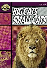 Rapid Stage 1 Set A Reader Pack: Big Cats Small Cats (Series 1)