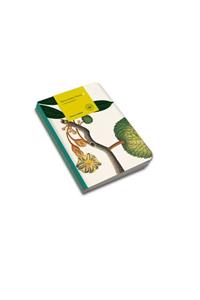 Remarkable Plants: Notebooks