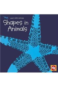 Shapes in Animals