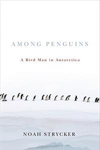 Among Penguins