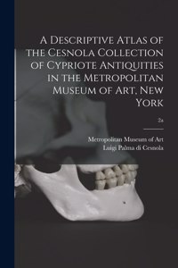 Descriptive Atlas of the Cesnola Collection of Cypriote Antiquities in the Metropolitan Museum of Art, New York; 2a