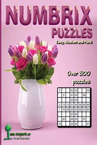 Numbrix Puzzles