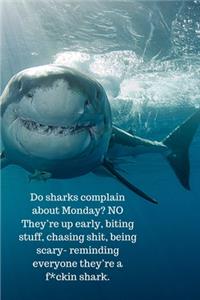 Do sharks complain about Monday? NO They're up early, biting stuff, chasing shit, being scary- reminding everyone they're a f*ckin shark.