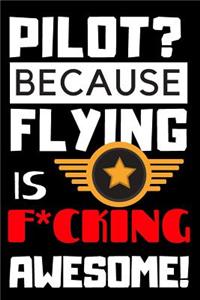 Pilot? Because Flying Is F*cking Awesome!