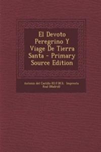 El Devoto Peregrino Y Viage De Tierra Santa - Primary Source Edition
