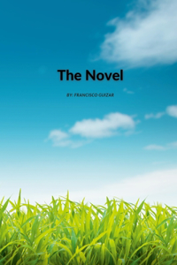 Novel