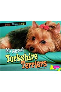 All About Yorkshire Terriers