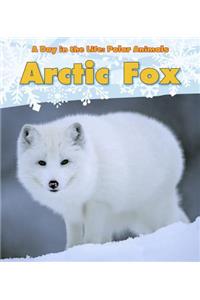 Arctic Fox