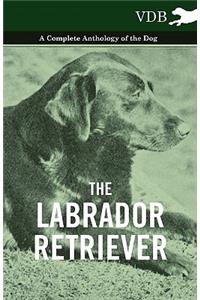 The Labrador Retriever - A Complete Anthology of the Dog