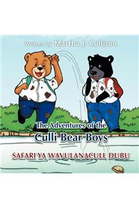 The Adventures of the Culli Bear Boys