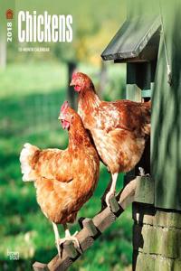 2018 Chickens Wall Calendar
