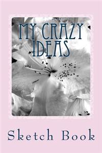 My Crazy Ideas
