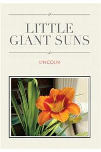 Little Giant Suns