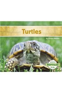 Turtles