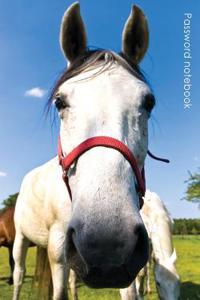 Password Notebook: Small Internet Address and Password Logbook / Journal / Diary - Curious Horse Cover
