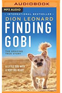 Finding Gobi