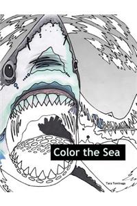 Color the Sea