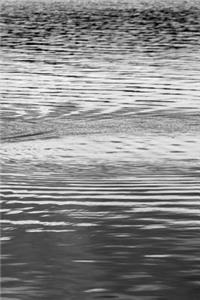 Water Surface Journal