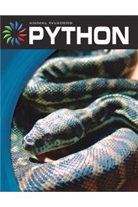 Python