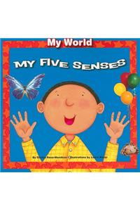 My Five Senses