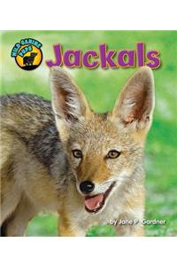 Jackals