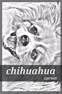 chihuahua carnet