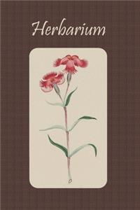 Herbarium