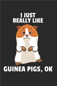 Meerschweinchen Notizbuch