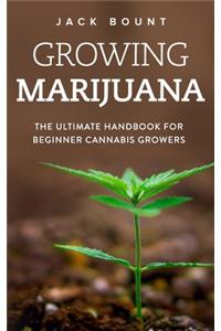 Growing Marijuana