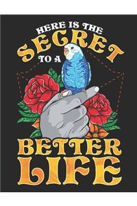 Here is the Secret to a Better Life