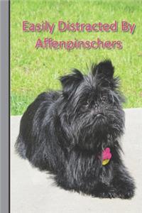 Easily Distracted By Affenpinschers