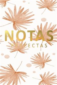 notas perfectas
