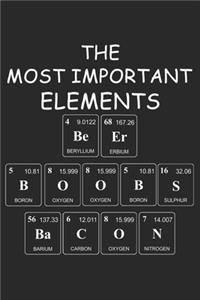 The Most Important Elements Beer Boobs Bacon