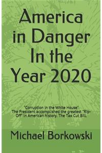 America in Danger In the Year 2020