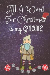 All I Want For Christmas Is My Gnome