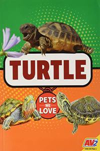 Turtle