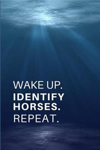 Wake Up. Identify Horses. Repeat.