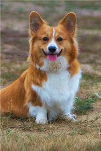 Corgi Dot Grid Journal