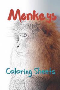 Monkey Coloring Sheets